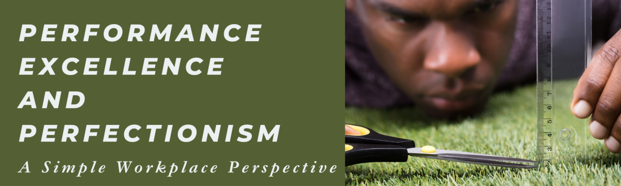 Striking the Balance: Performance Excellence Without Falling into the Perfectionism Trap